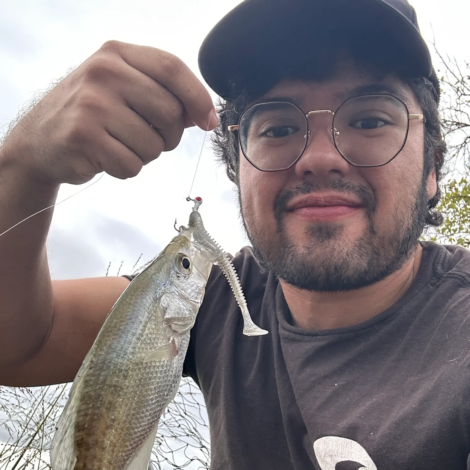 White crappie caught on Fishbrain