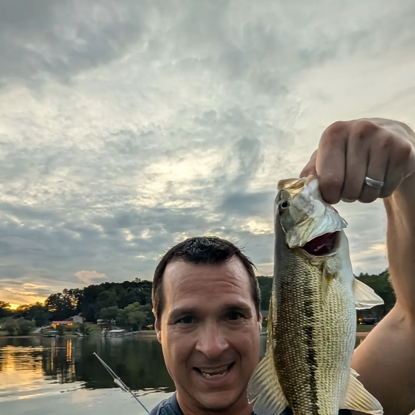 Spotted bass caught on Fishbrain