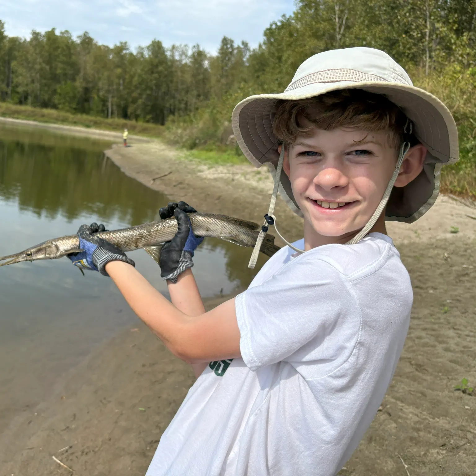 The most recent Shortnose gar catches on Fishbrain