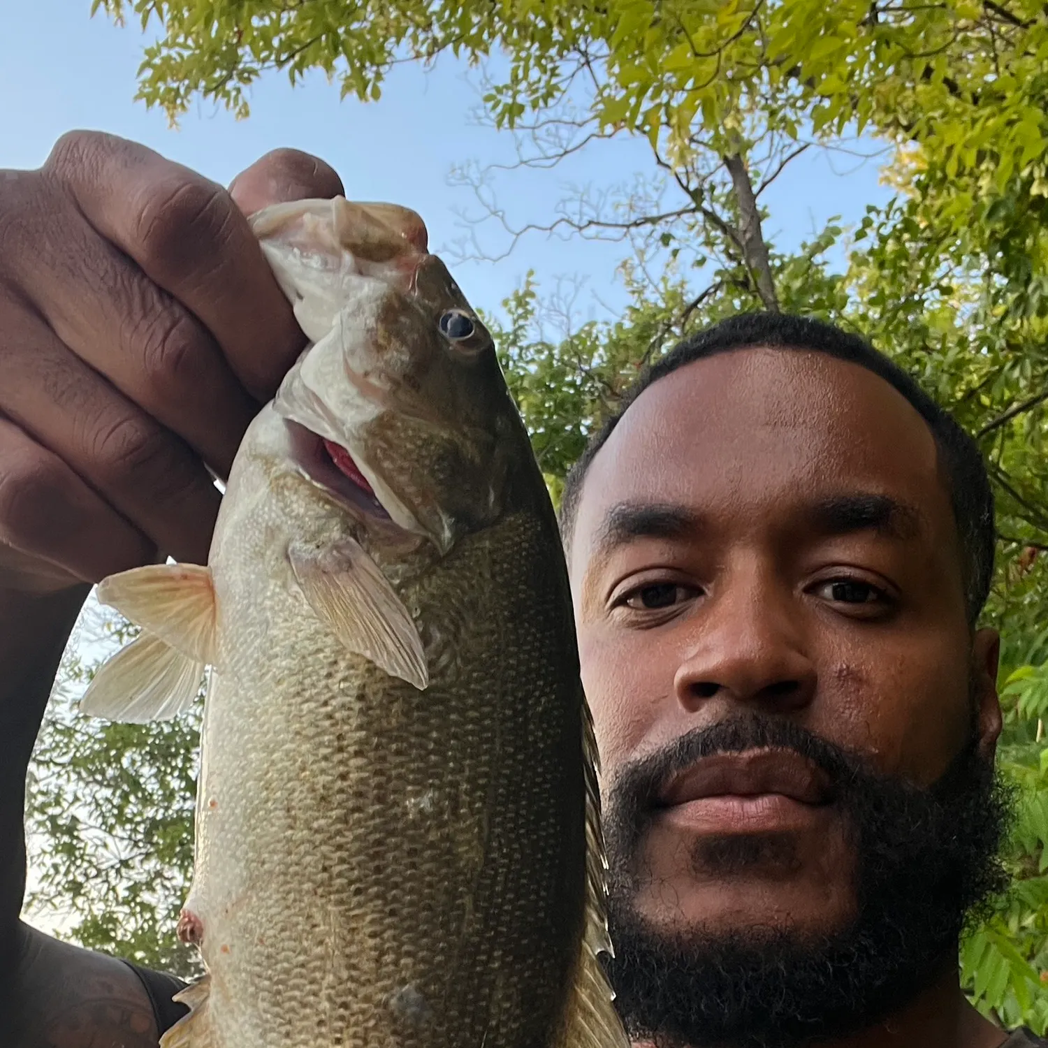 Smallmouth bass caught on Fishbrain