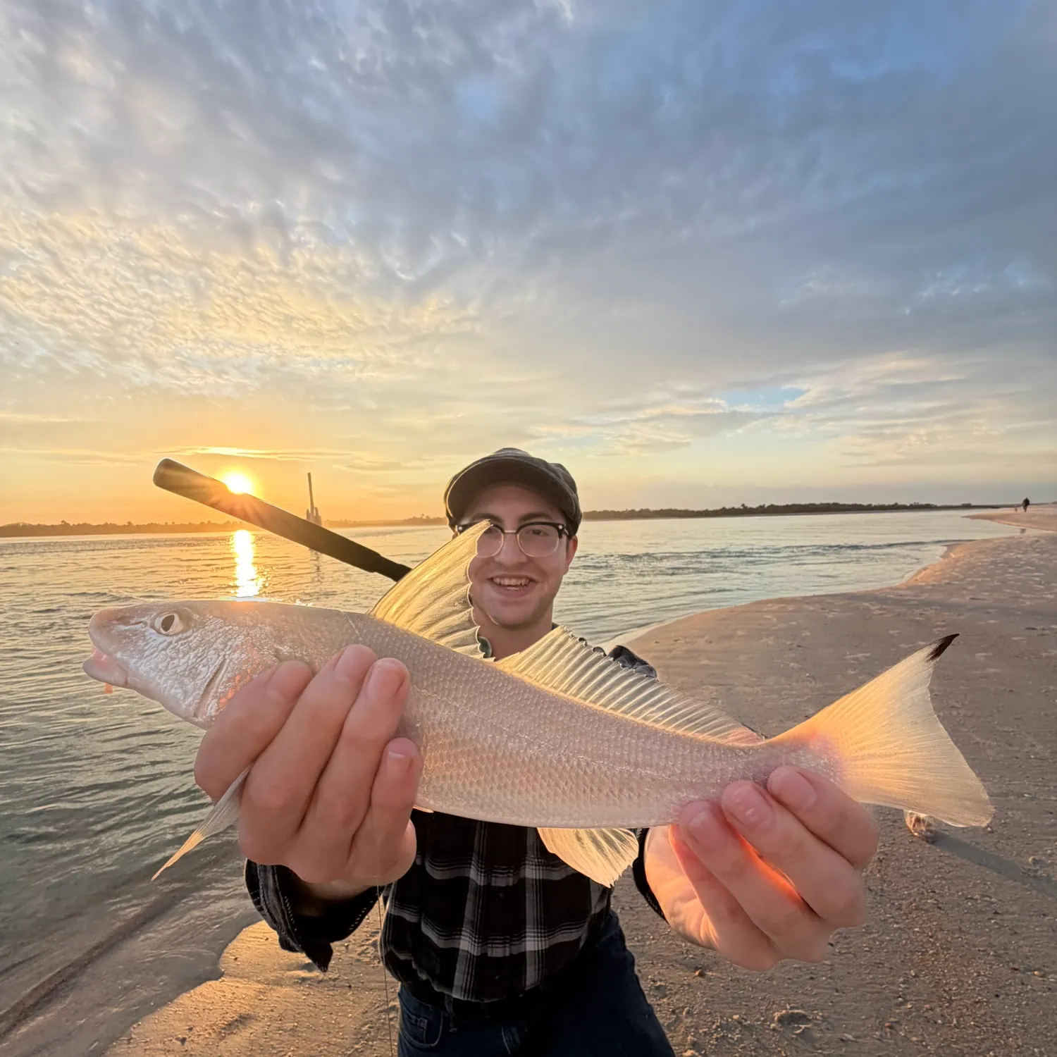 The most recent Gulf kingcroaker catches on Fishbrain