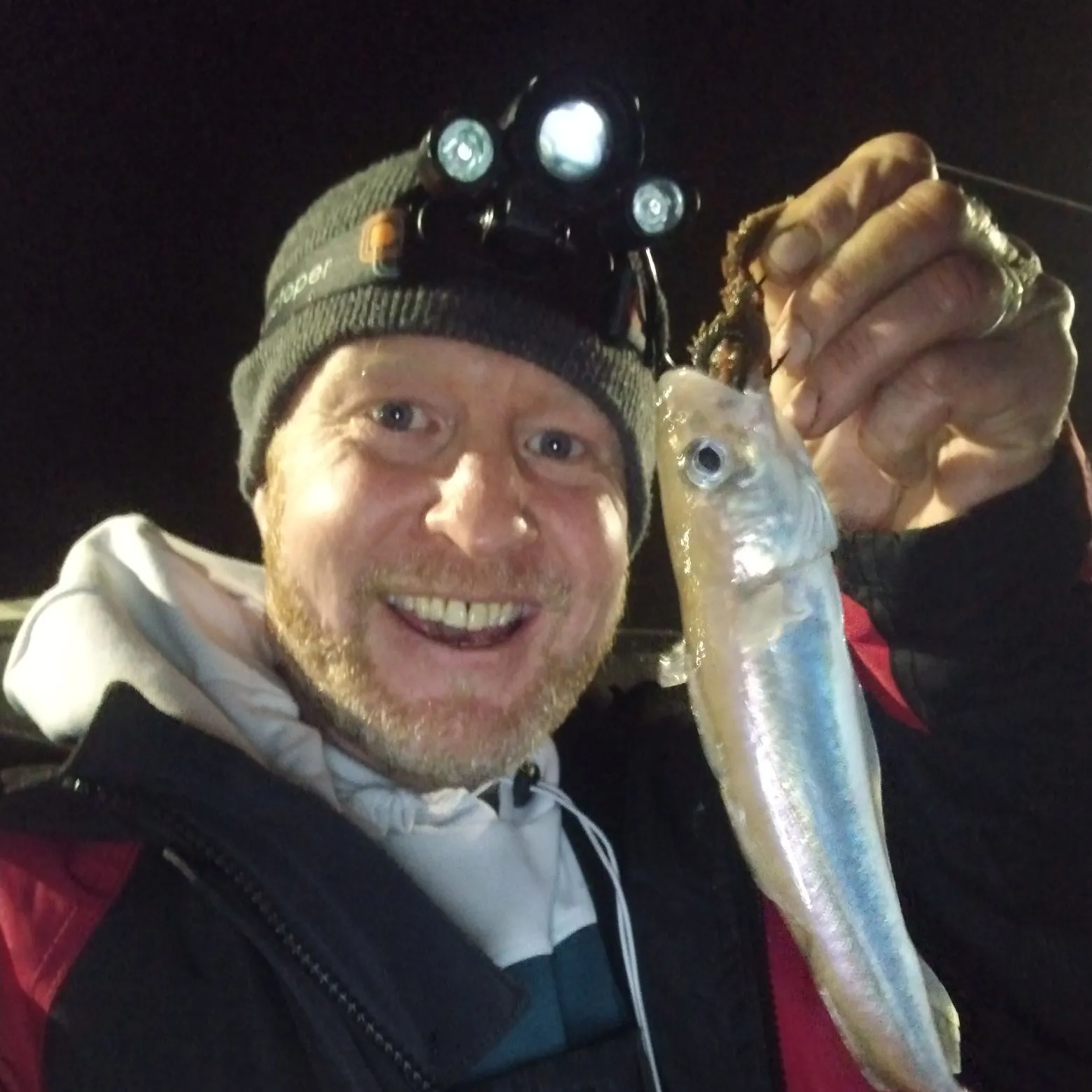 The most recent Whiting catches on Fishbrain