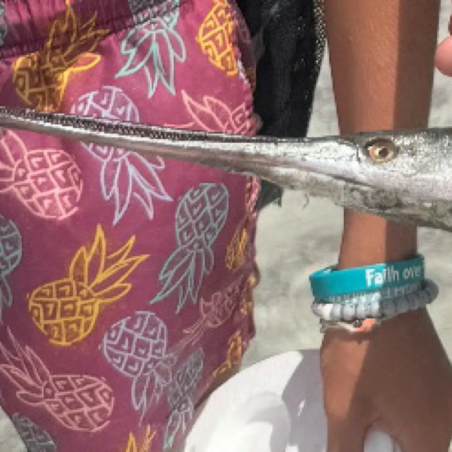 The most recent Needlenose gar catches on Fishbrain