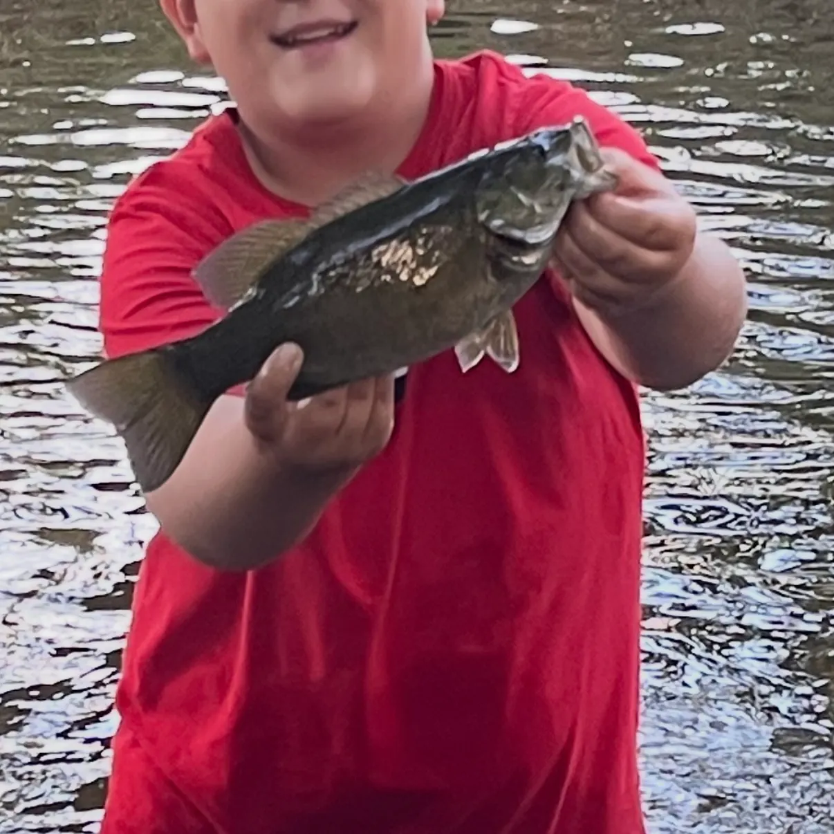 Smallmouth bass caught on Fishbrain