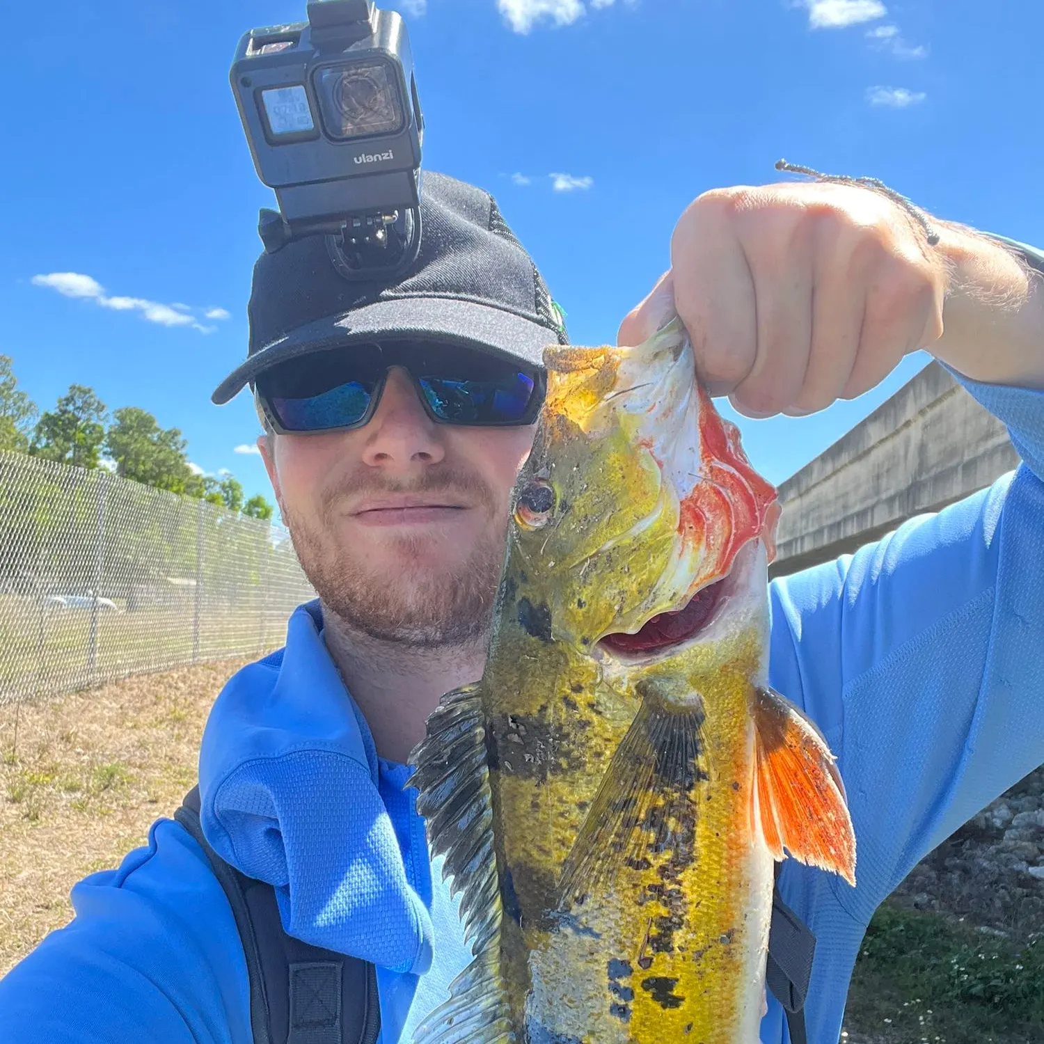 angler catch