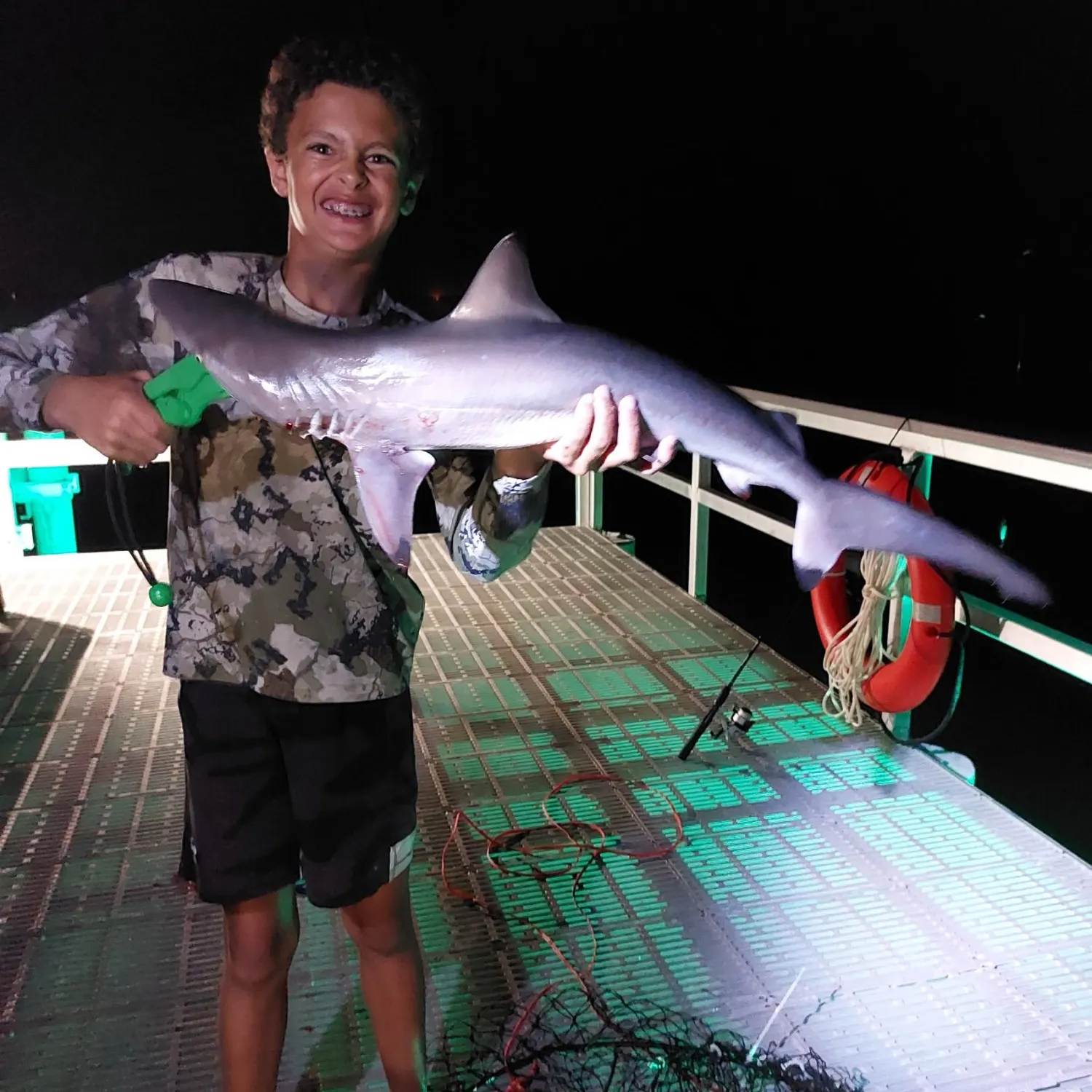 Blacktip shark caught on Fishbrain