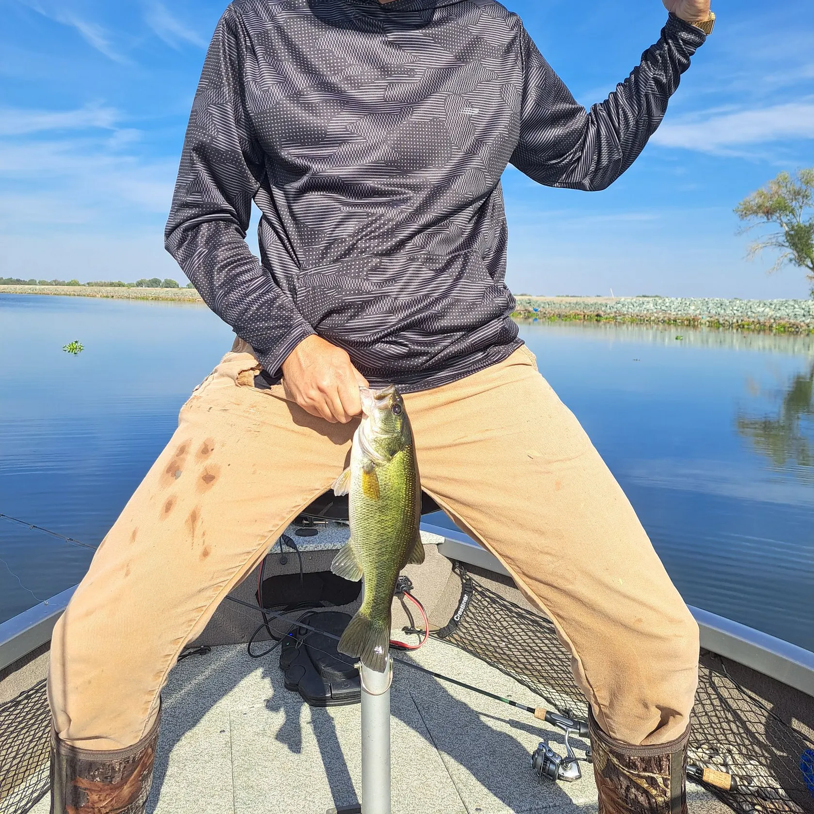 The most recent Spotted bass catches on Fishbrain