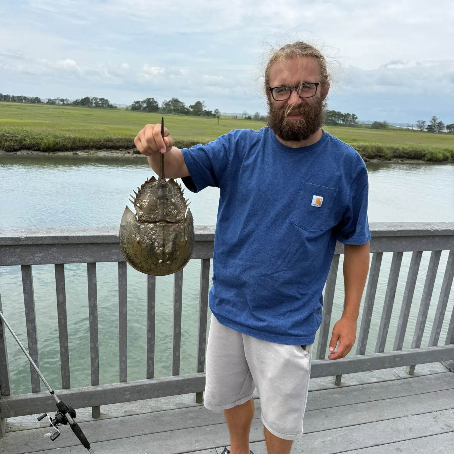 The most recent Atlantic horseshoe crab catches on Fishbrain