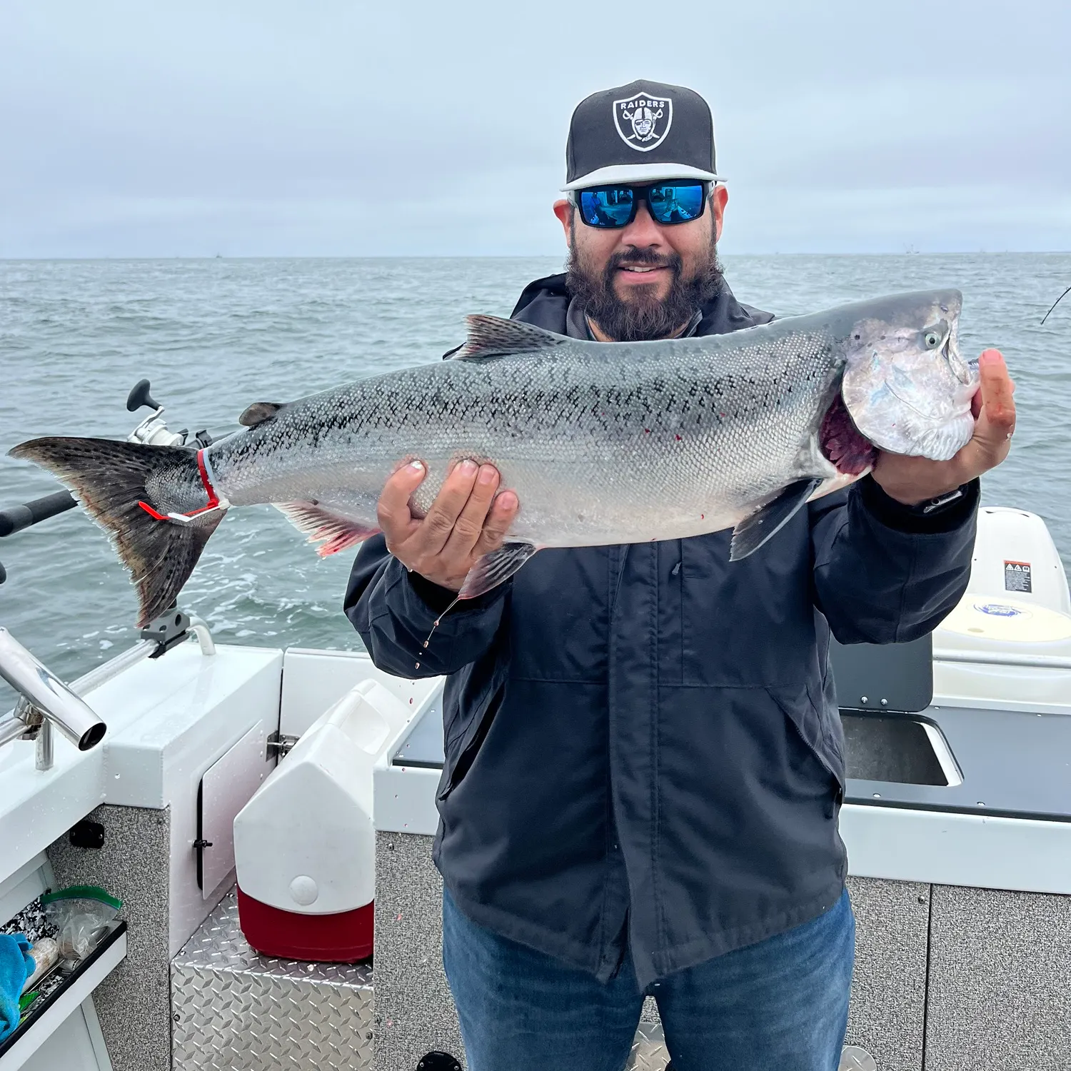 Chinook salmon caught on Fishbrain