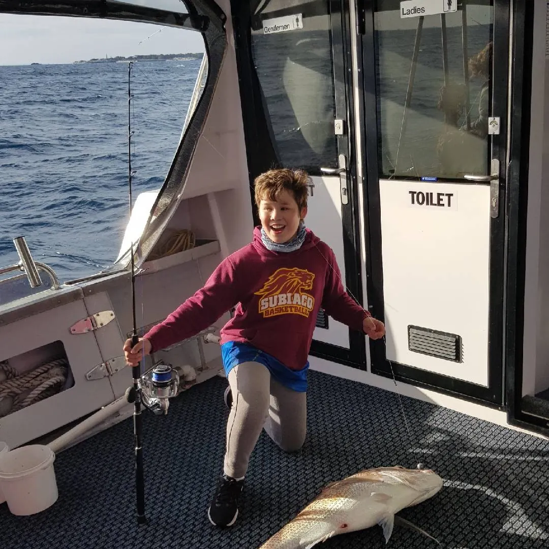 Australasian snapper caught on Fishbrain