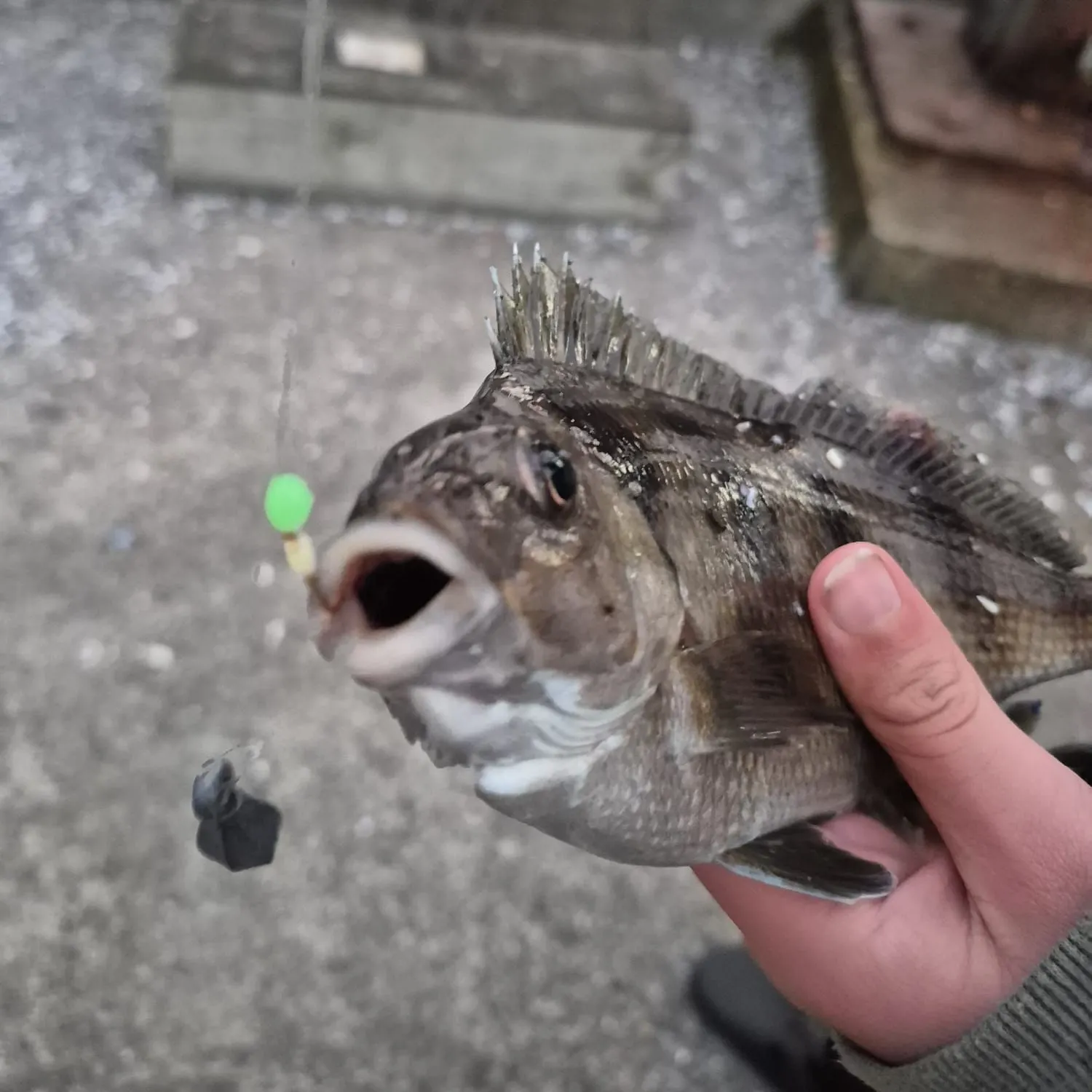 catch