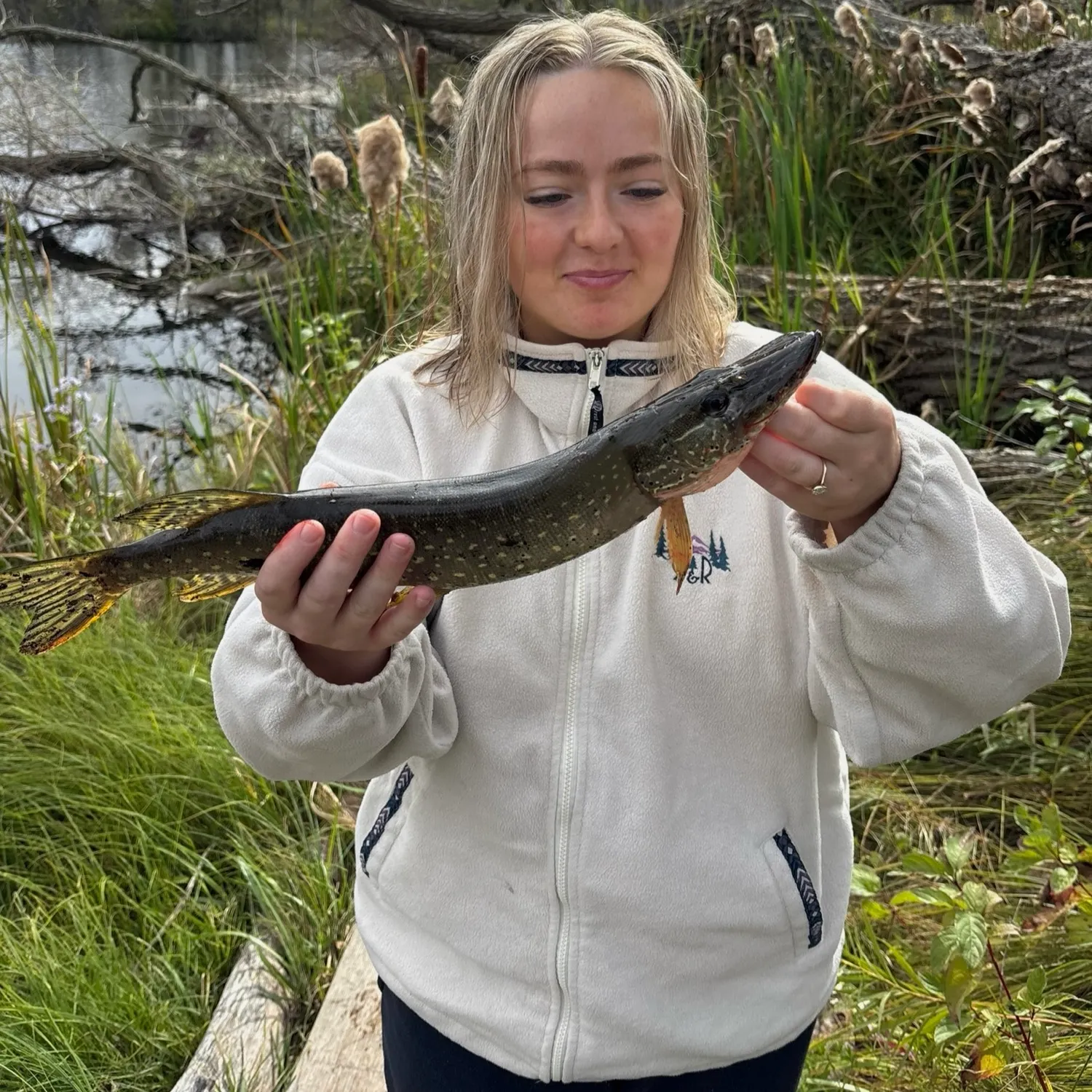 Northern pike caught on Fishbrain