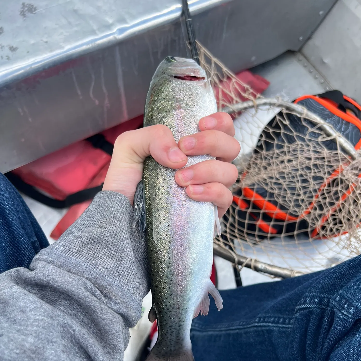 Rainbow trout caught on Fishbrain
