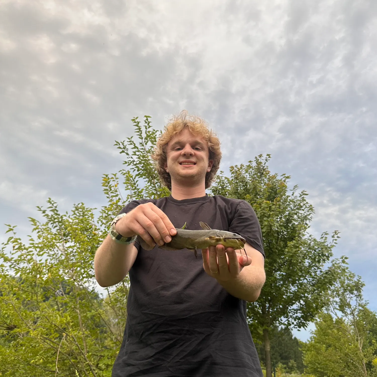 Black bullhead caught on Fishbrain