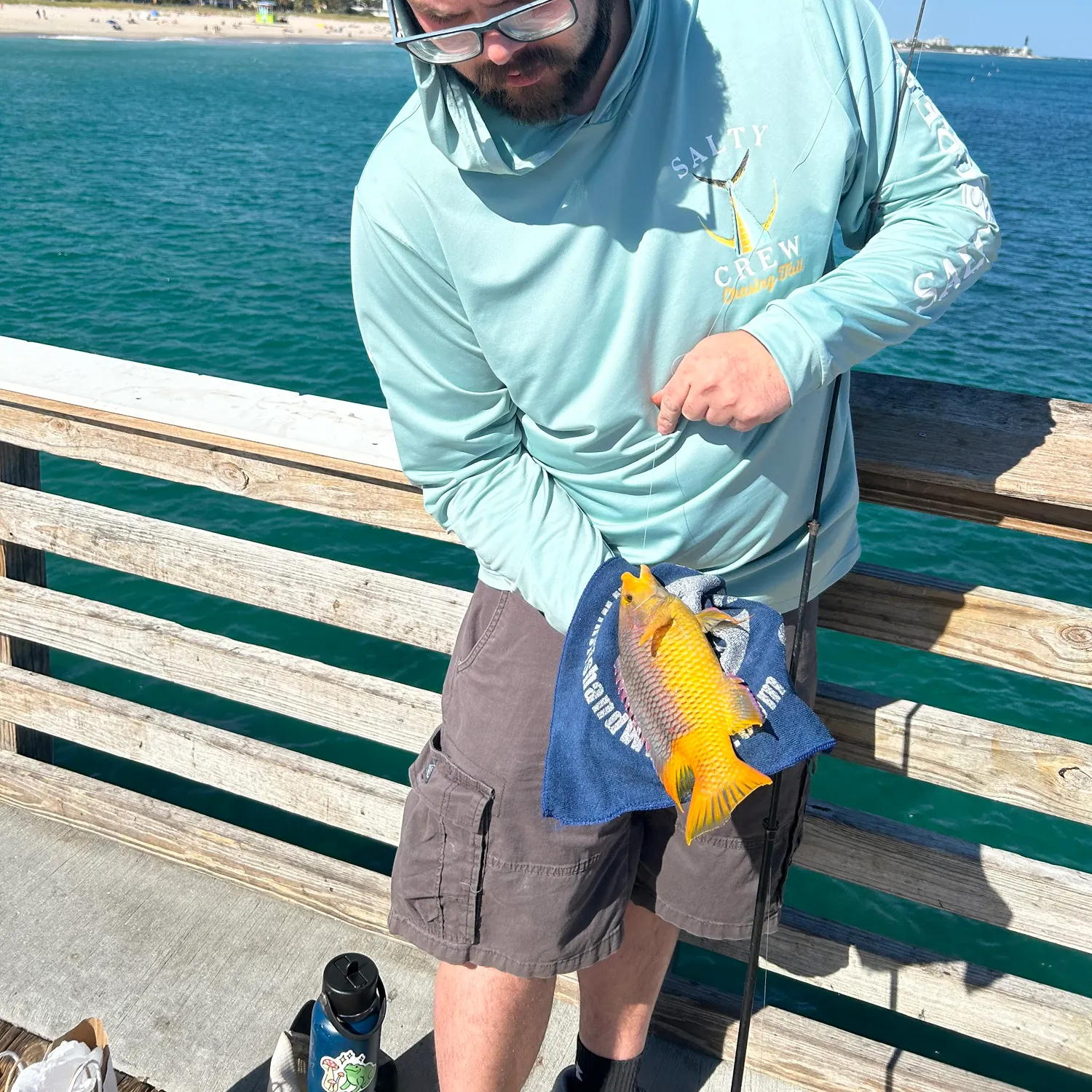 The most recent Spanish hogfish catches on Fishbrain