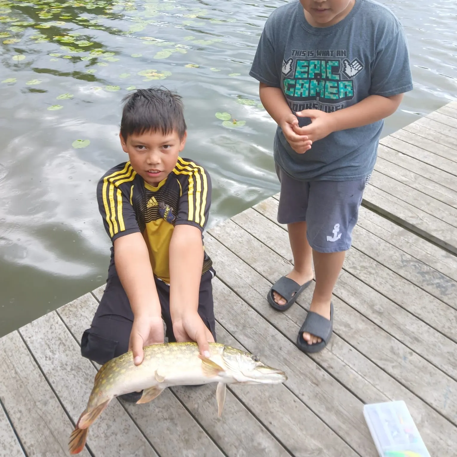 Northern pike caught on Fishbrain