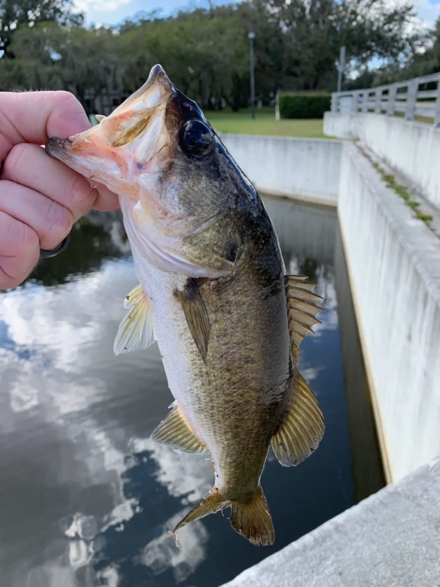 Post image from gparrill