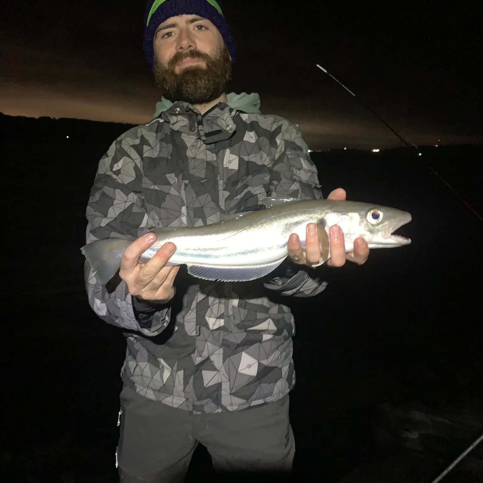 The most recent Whiting catches on Fishbrain