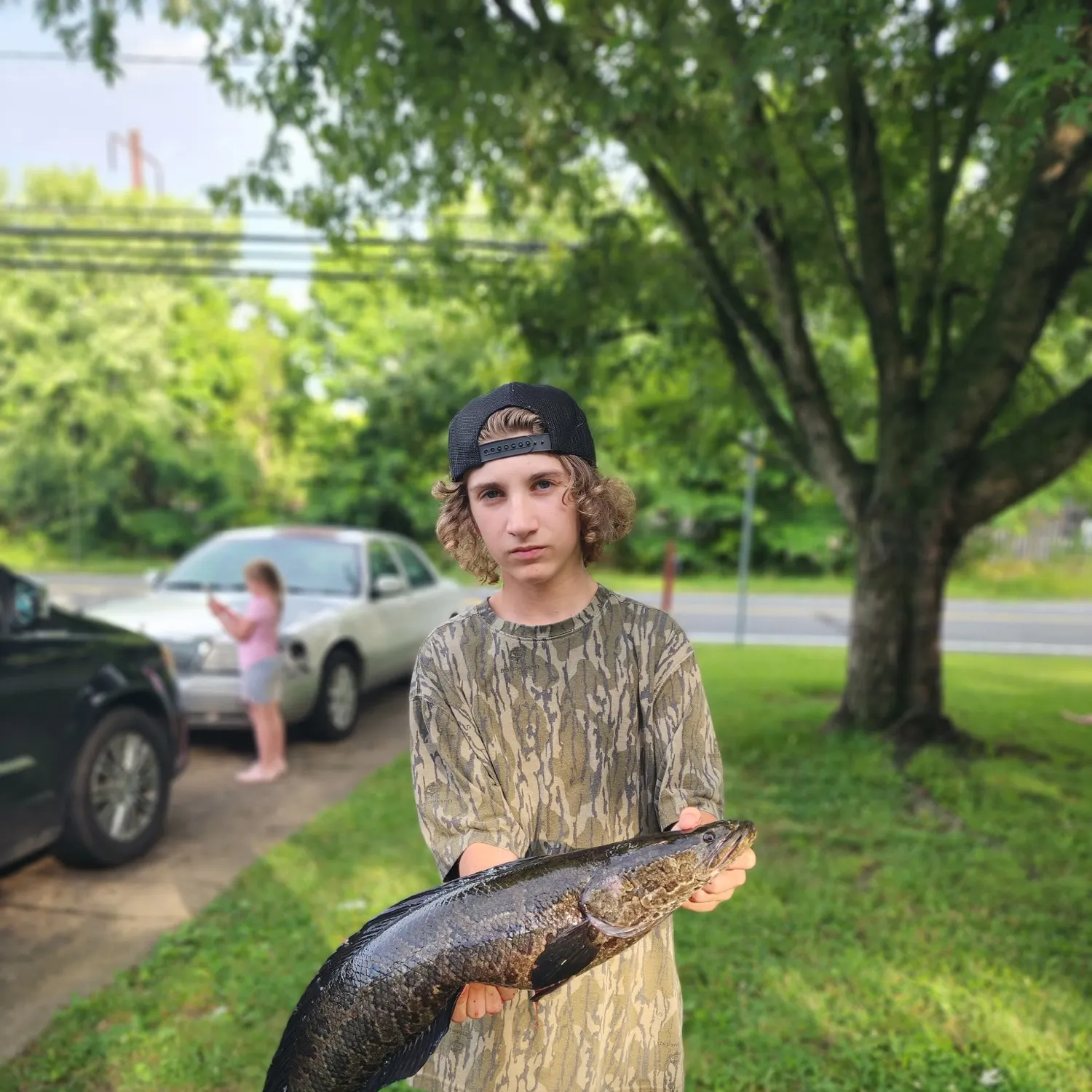 Northern snakehead caught on Fishbrain