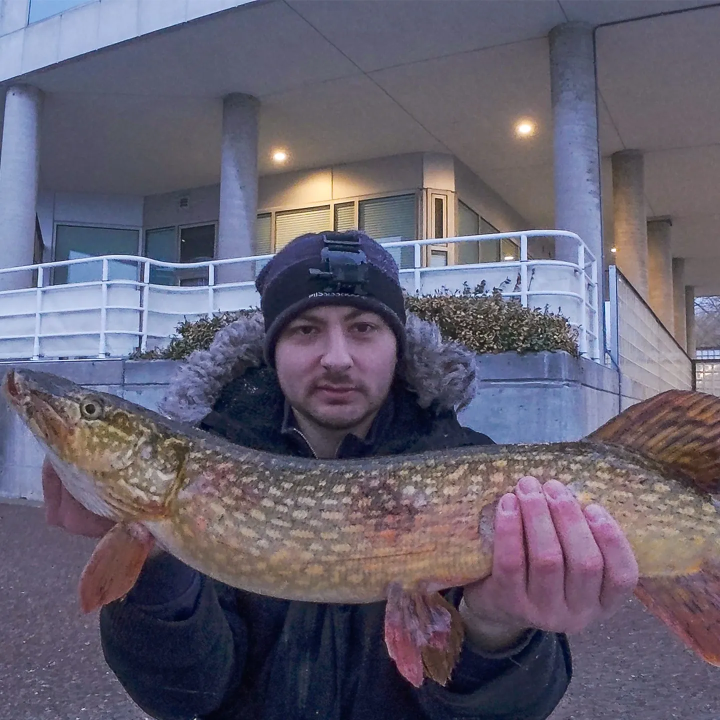 The most recent Northern pike catches on Fishbrain