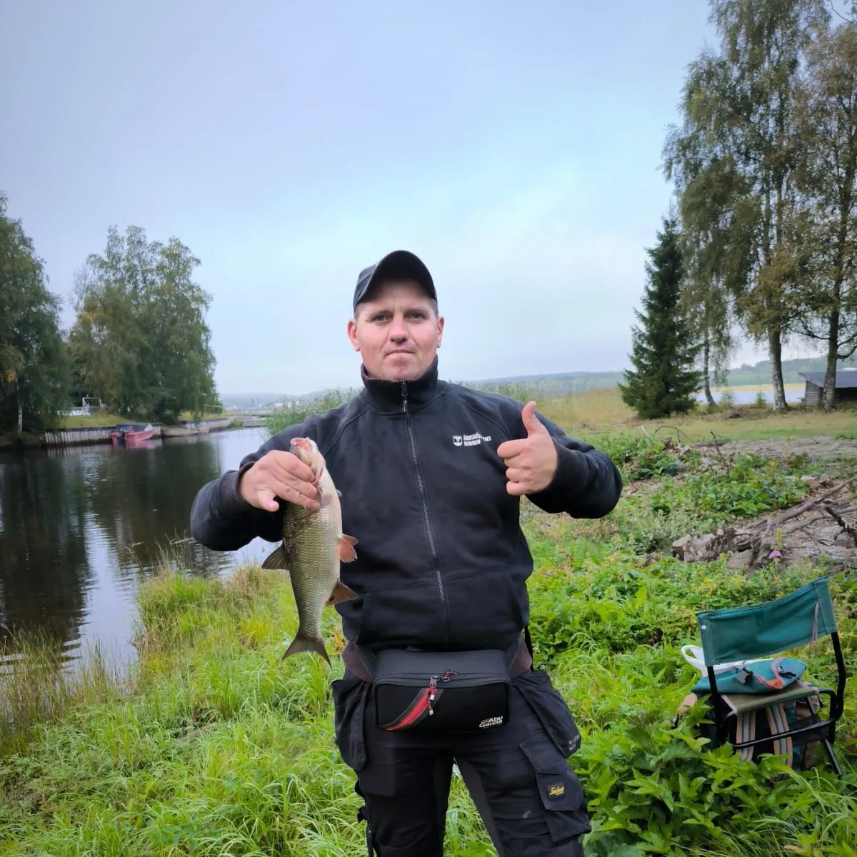 The most recent Ide catches on Fishbrain