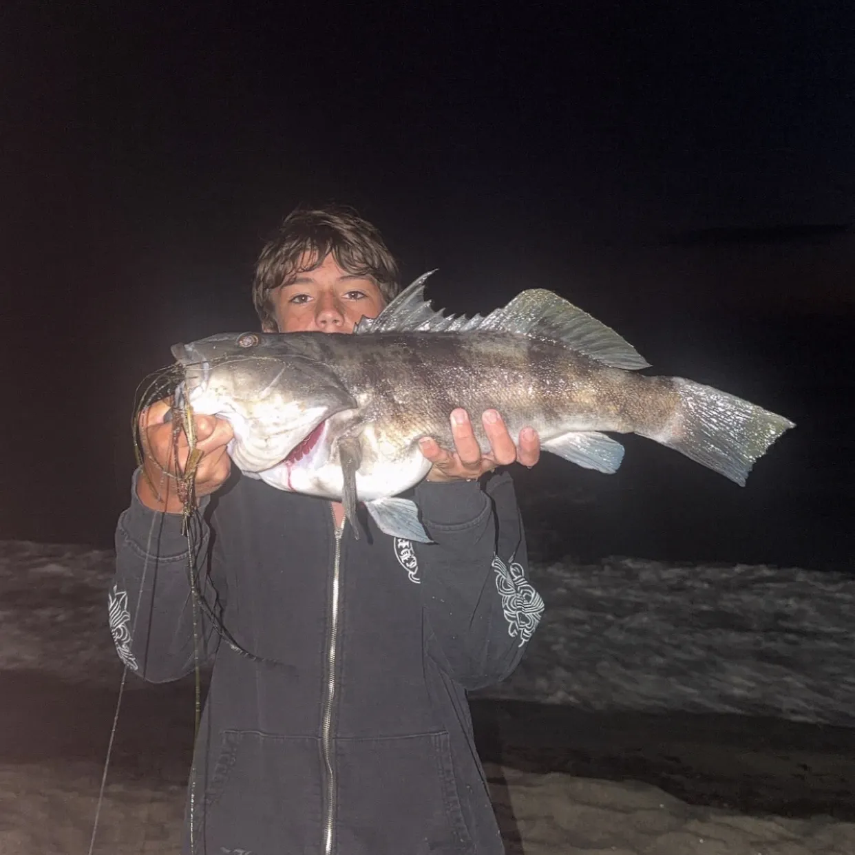 The most recent Barred sand bass catches on Fishbrain