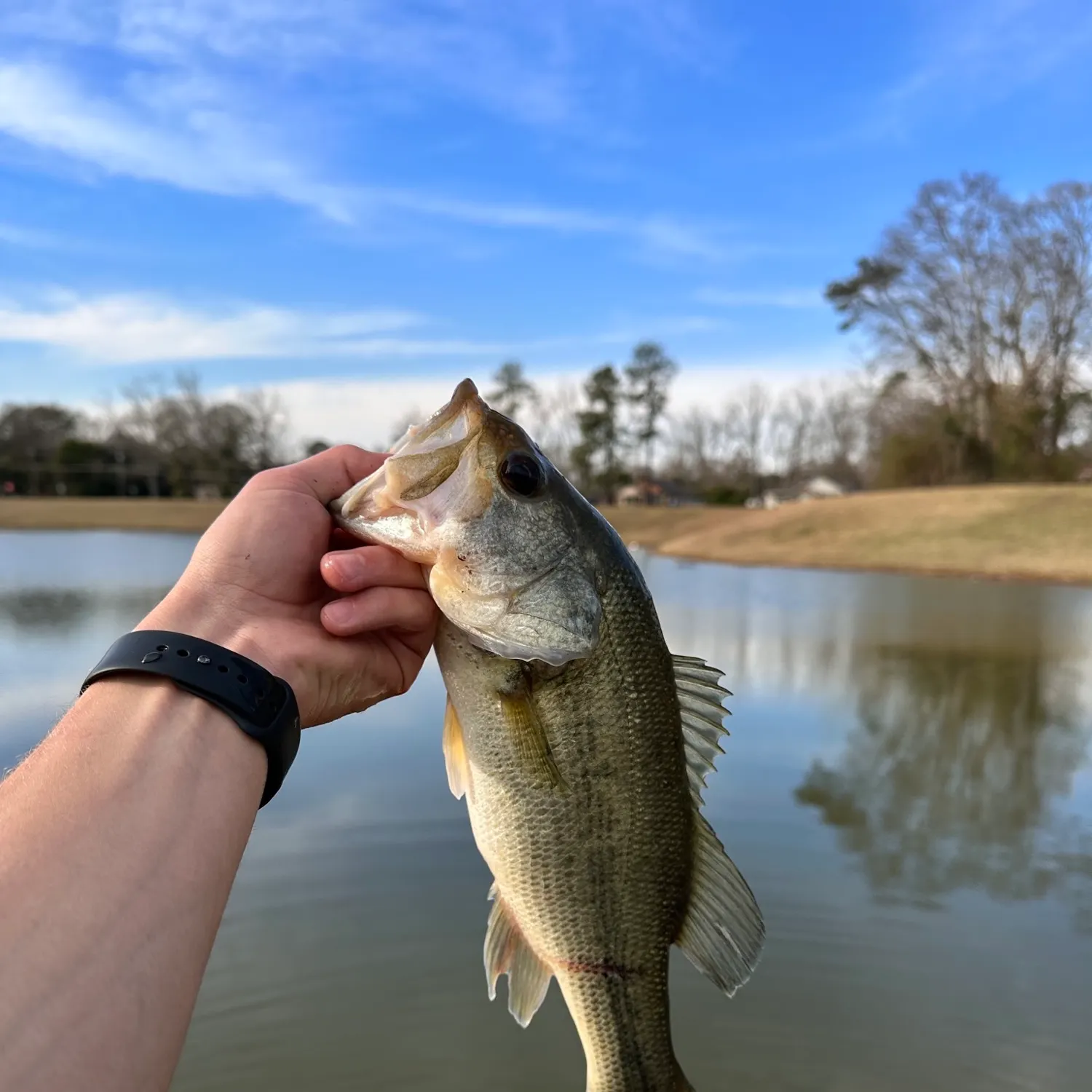 angler catch