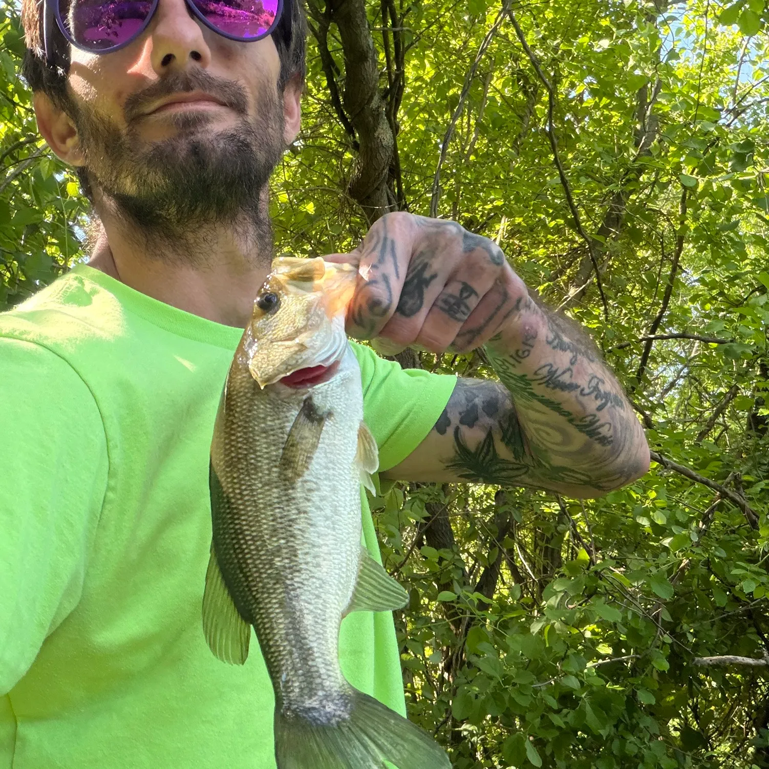 recently logged catches