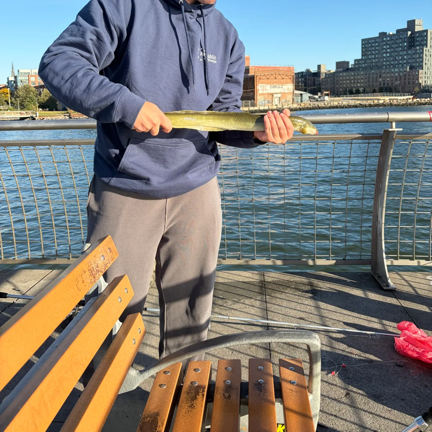 The most recent American eel catches on Fishbrain