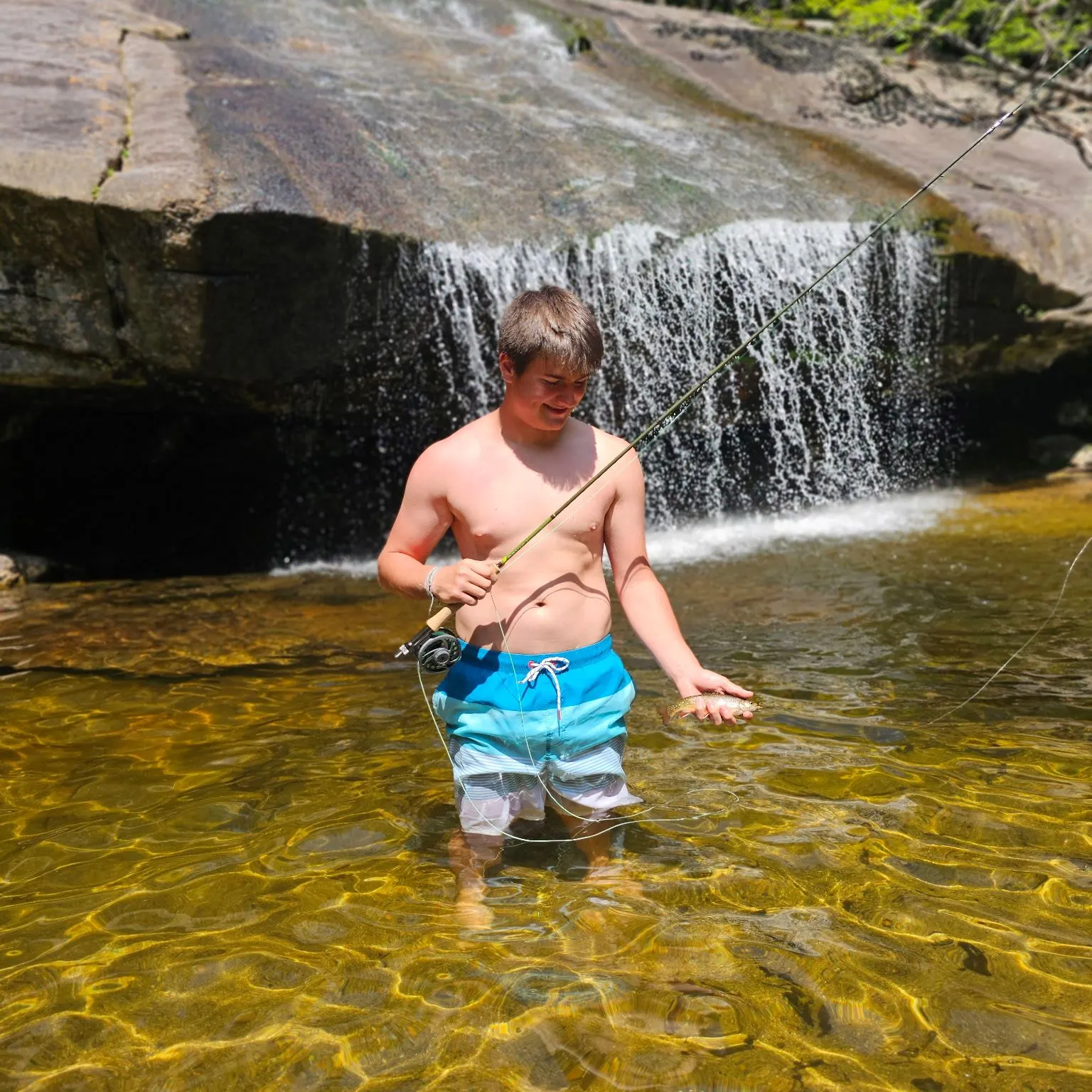 The most recent Brook trout catches on Fishbrain