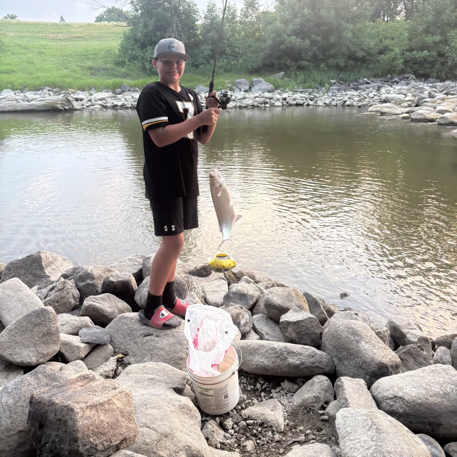 The most recent Goldeye catches on Fishbrain