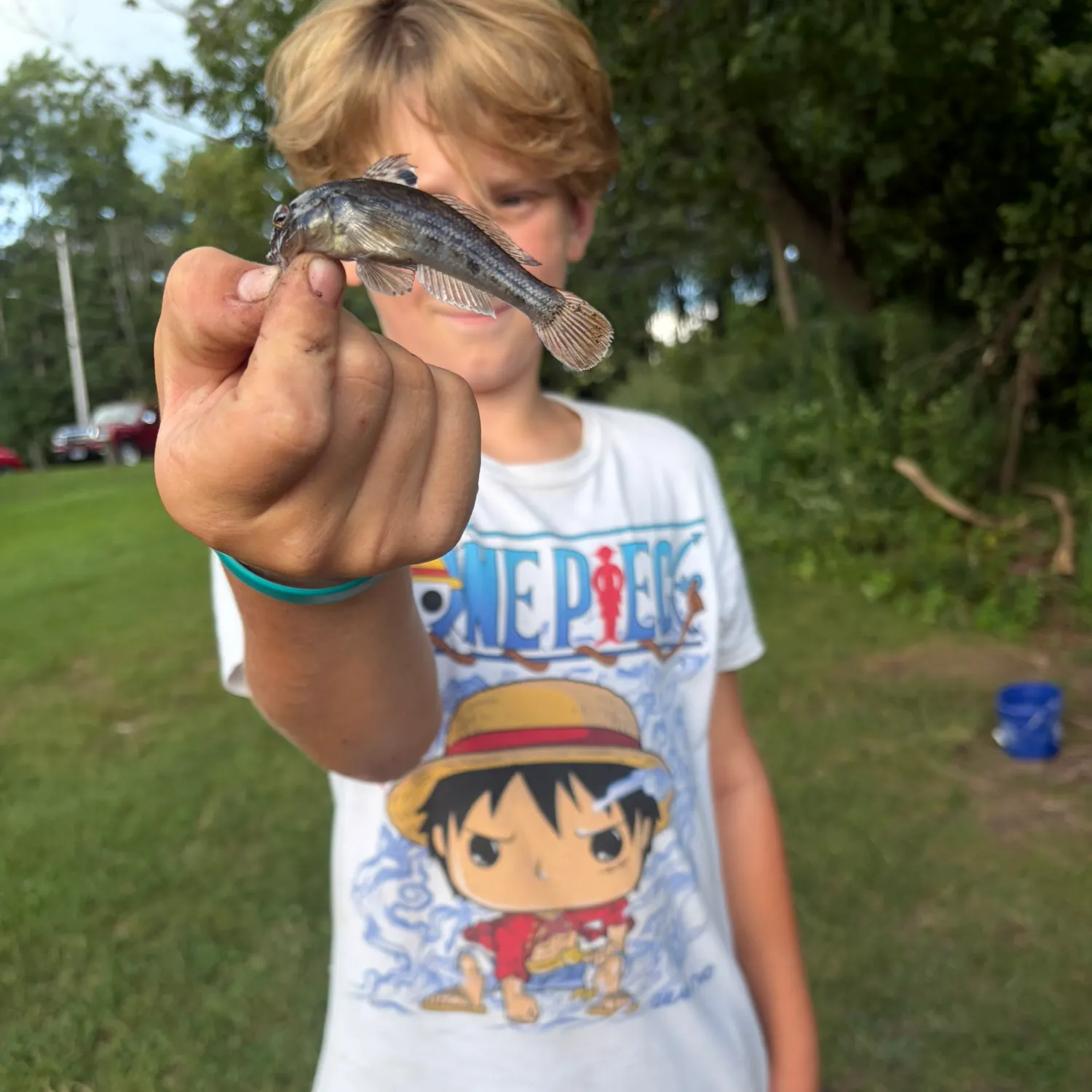Round goby caught on Fishbrain