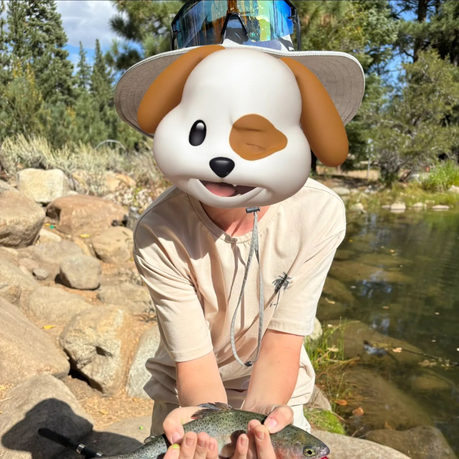 Rainbow trout caught on Fishbrain