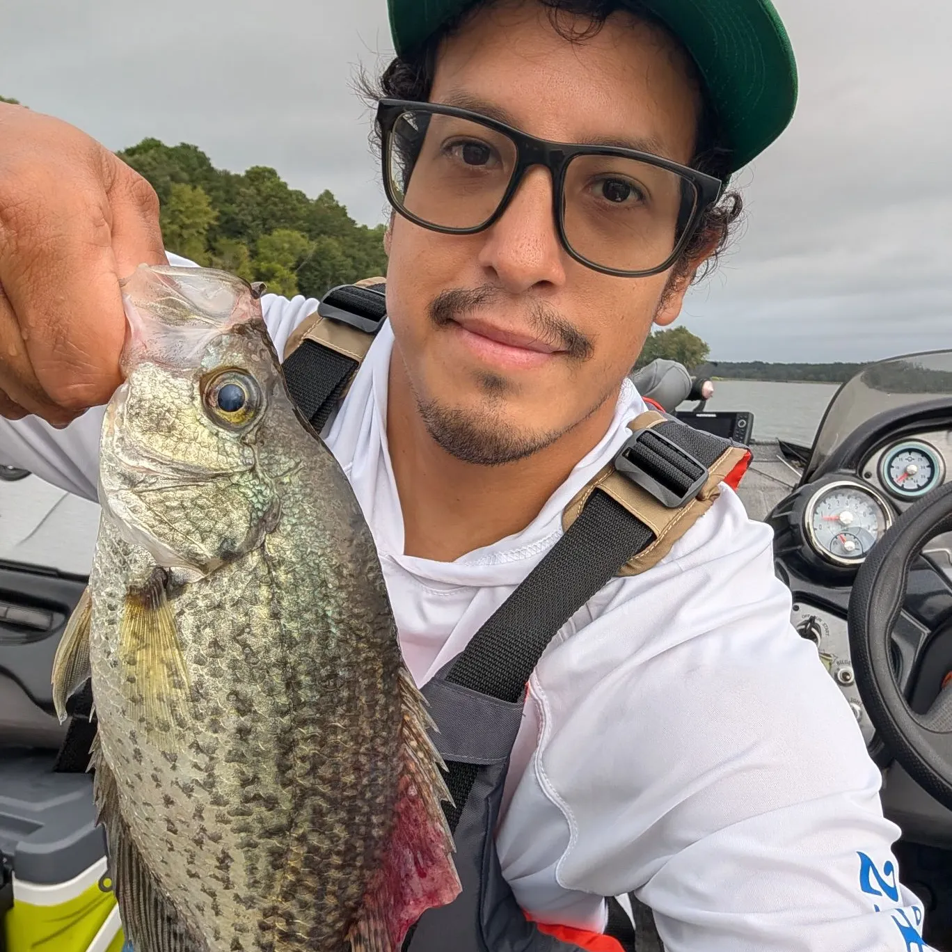 Black crappie caught on Fishbrain