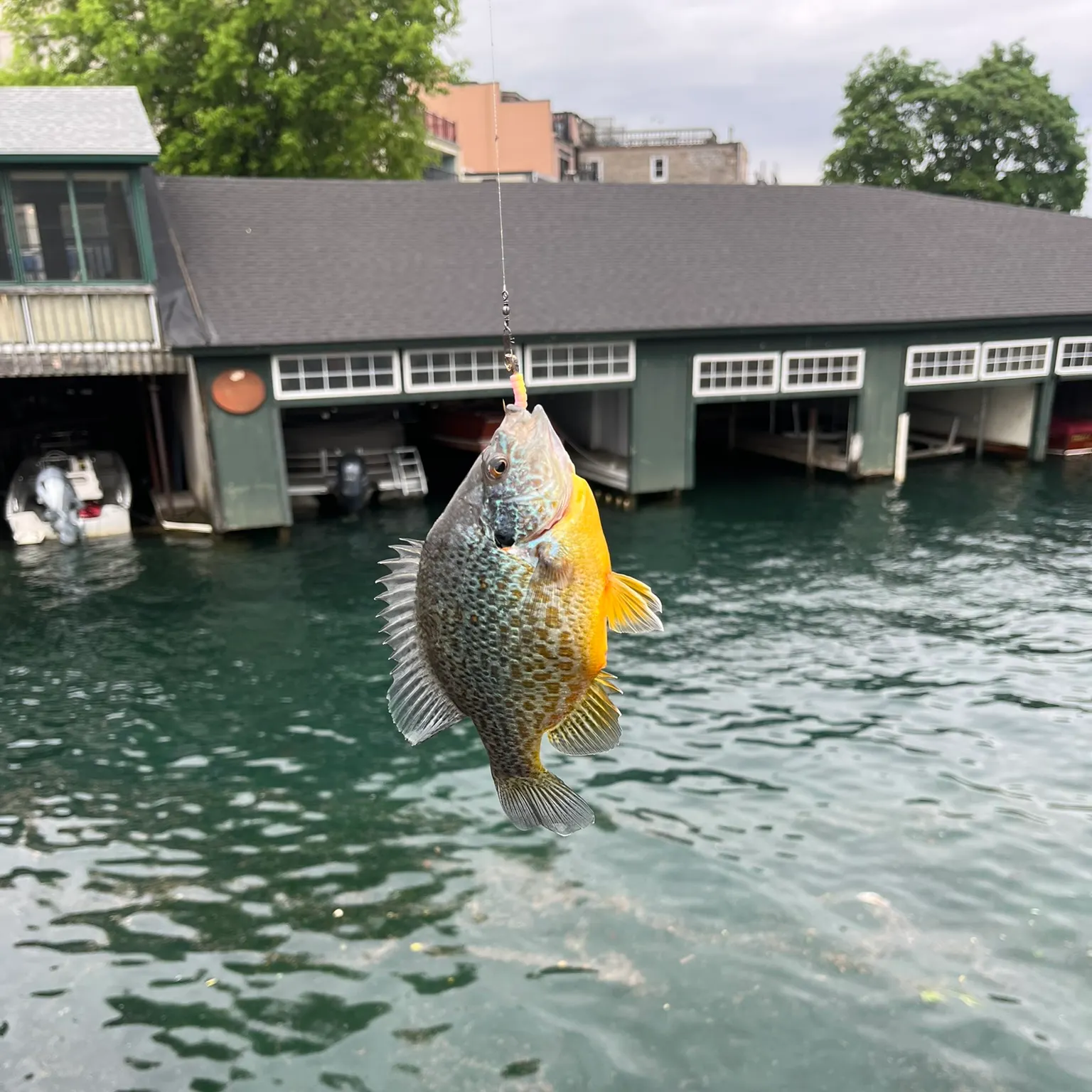 catch