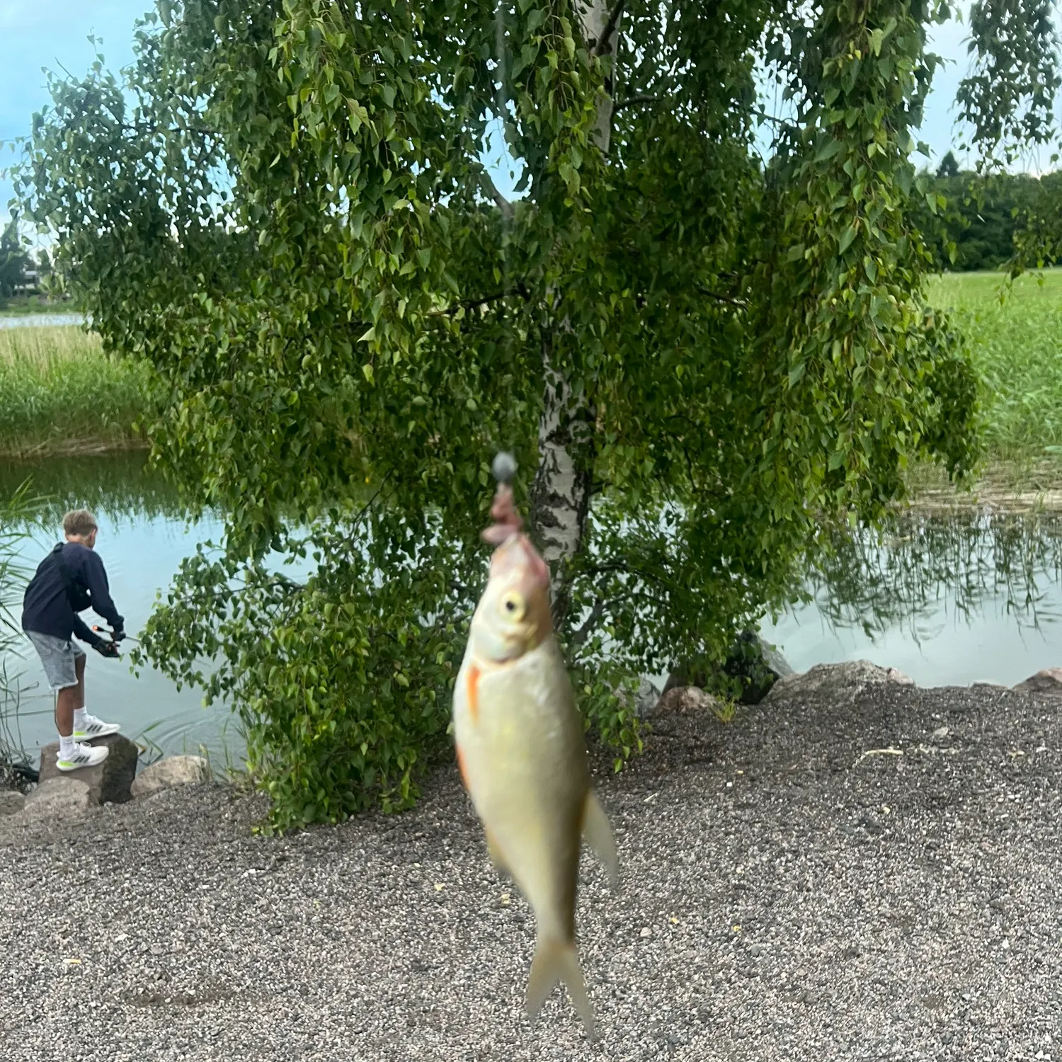catch