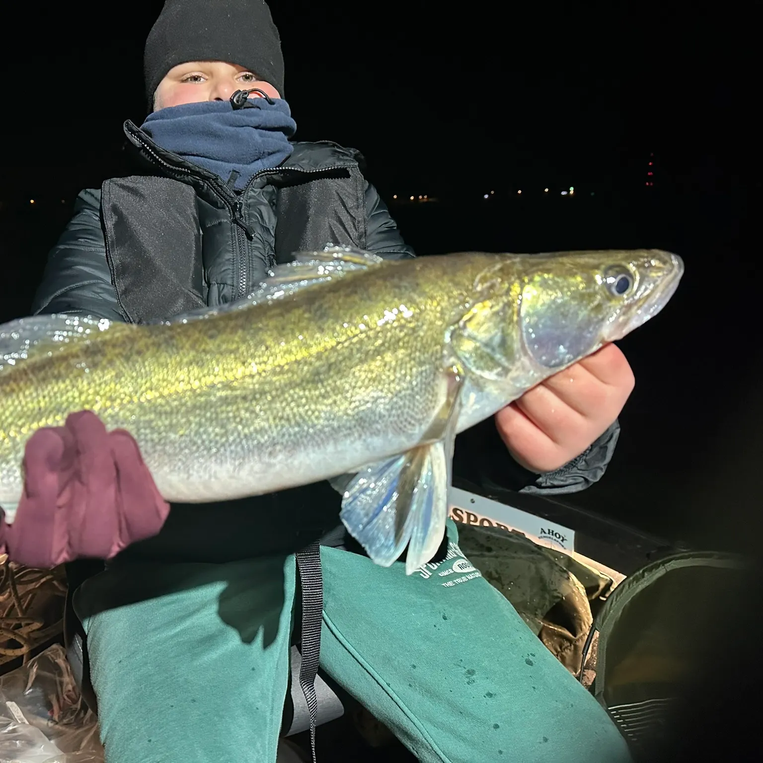 The most recent Zander catches on Fishbrain