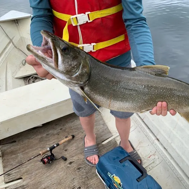 The most recent Lake char catches on Fishbrain