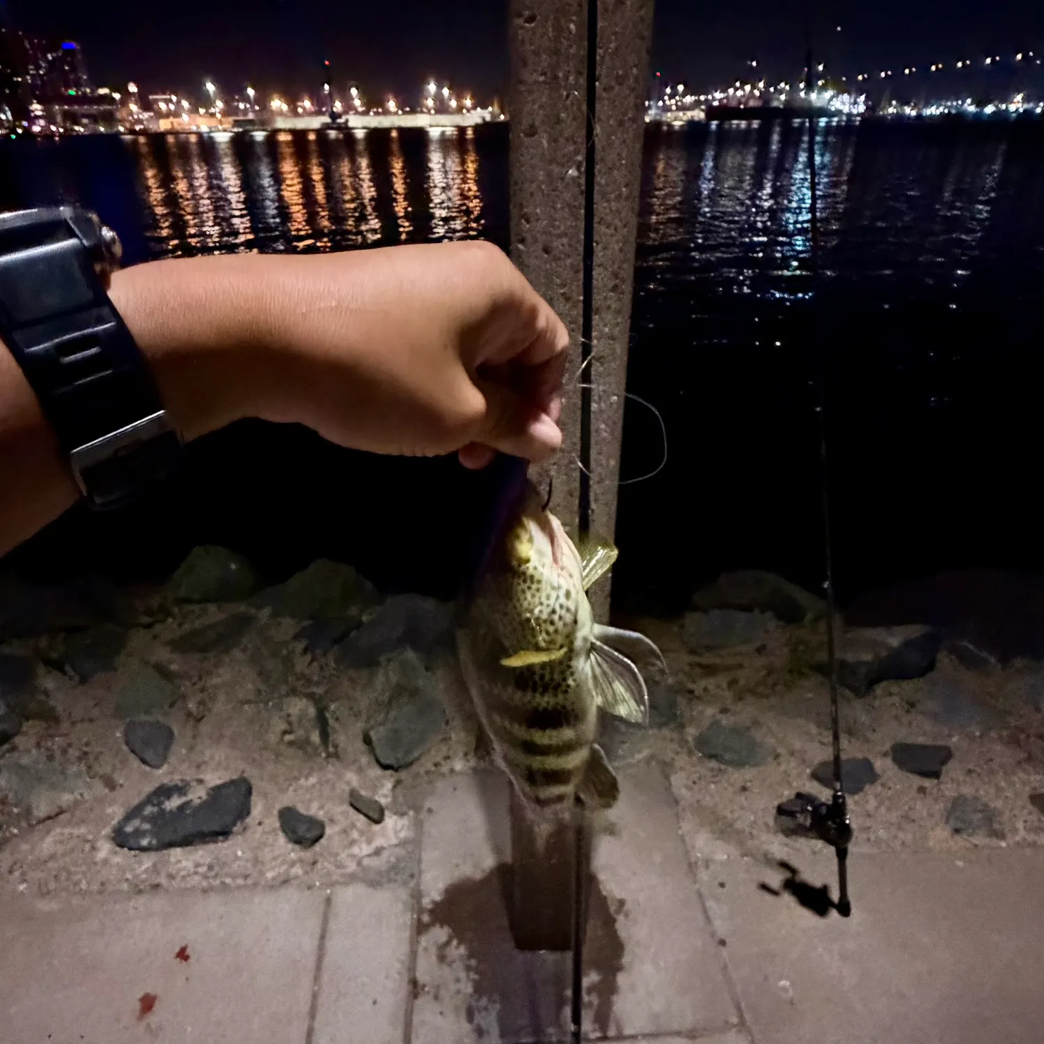 catch