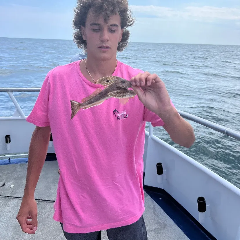 Round goby caught on Fishbrain