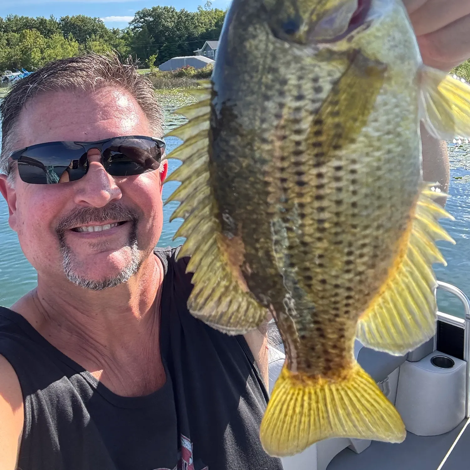 Rock bass caught on Fishbrain