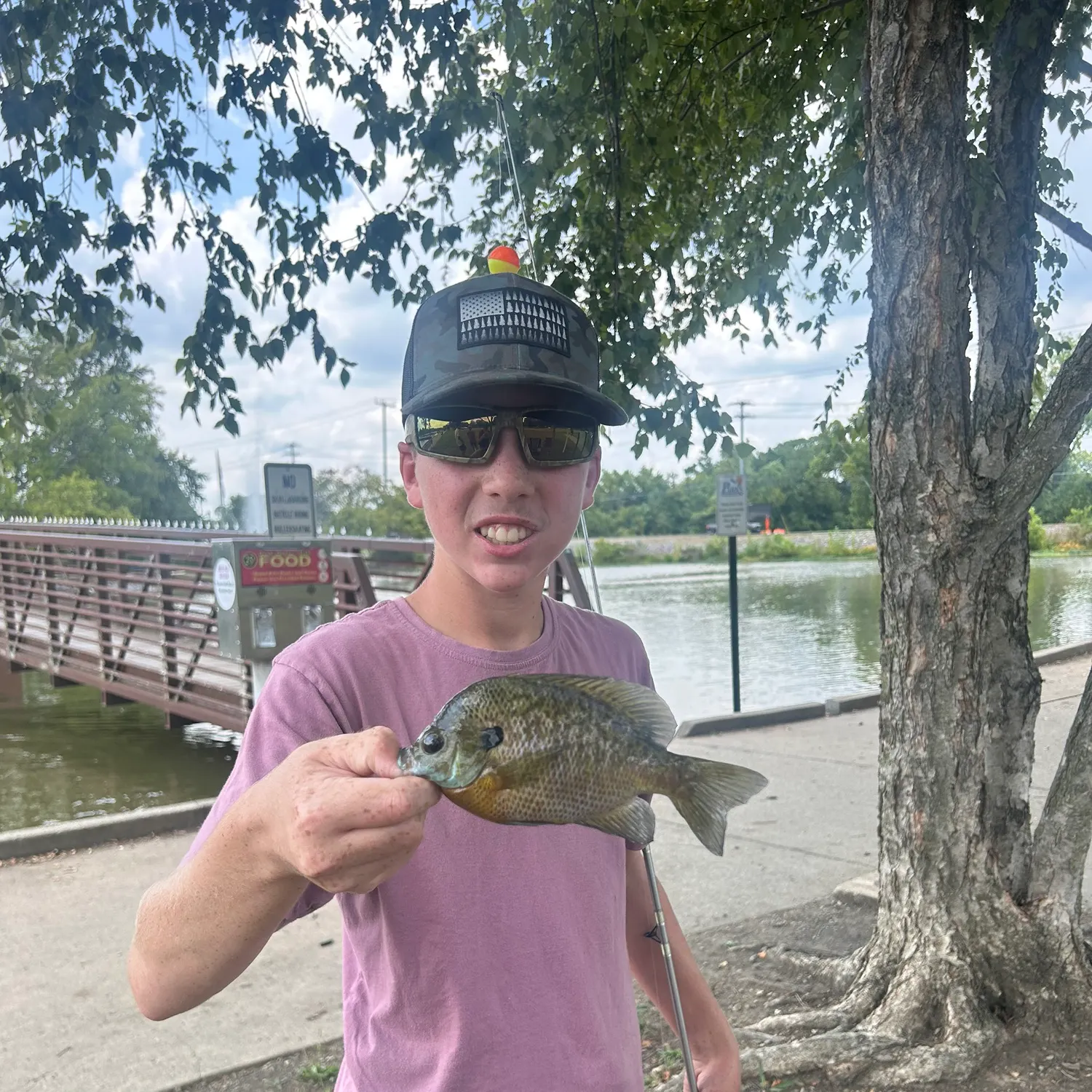 catch