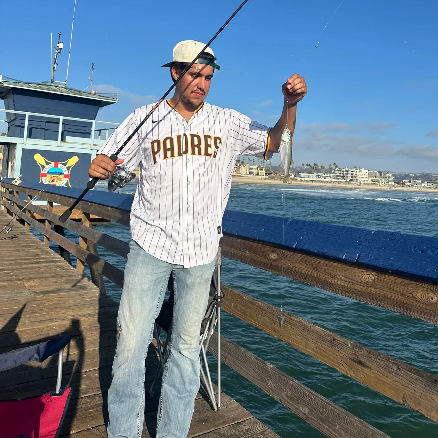 The most recent Blue mackerel catches on Fishbrain