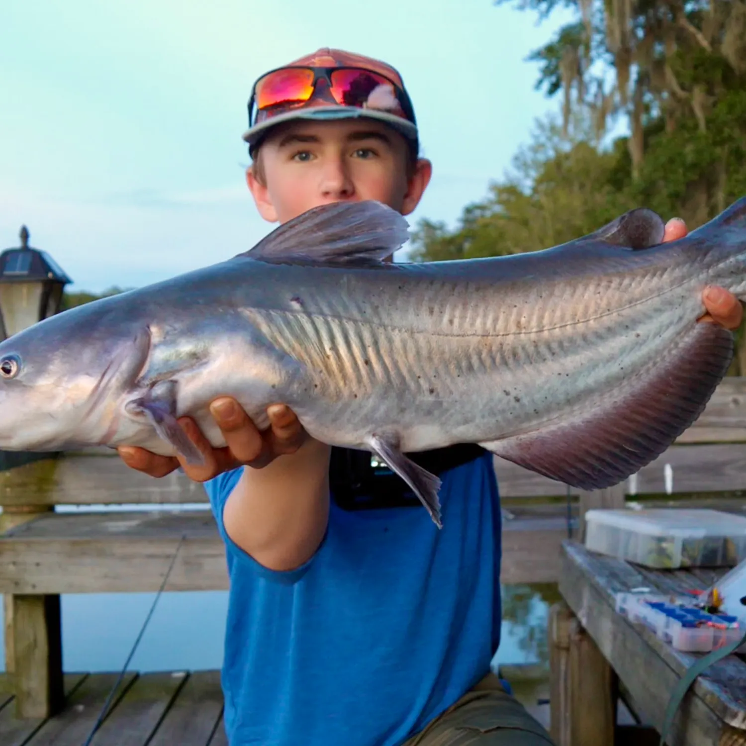 Channel catfish caught on Fishbrain