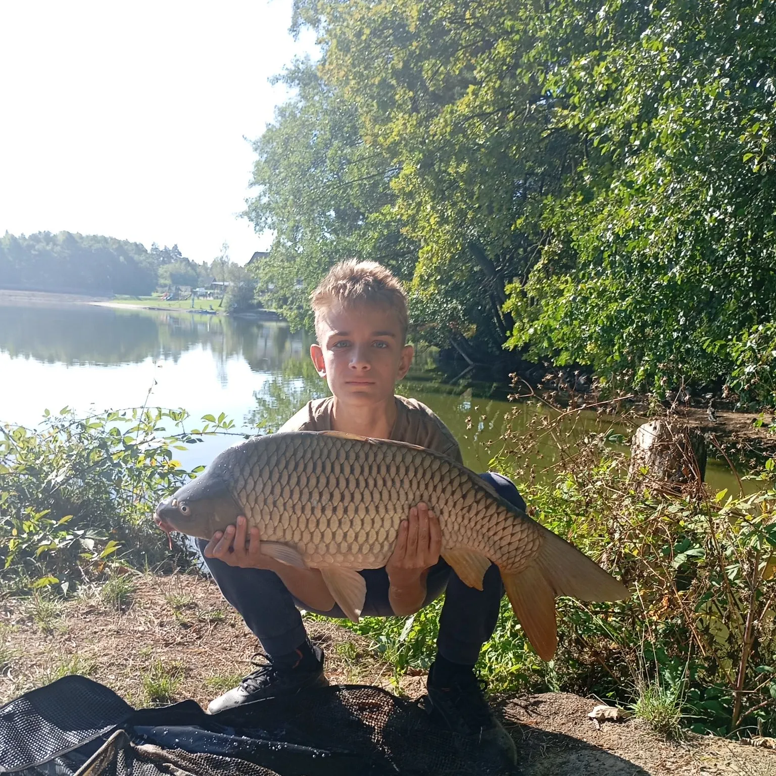 Common carp caught on Fishbrain