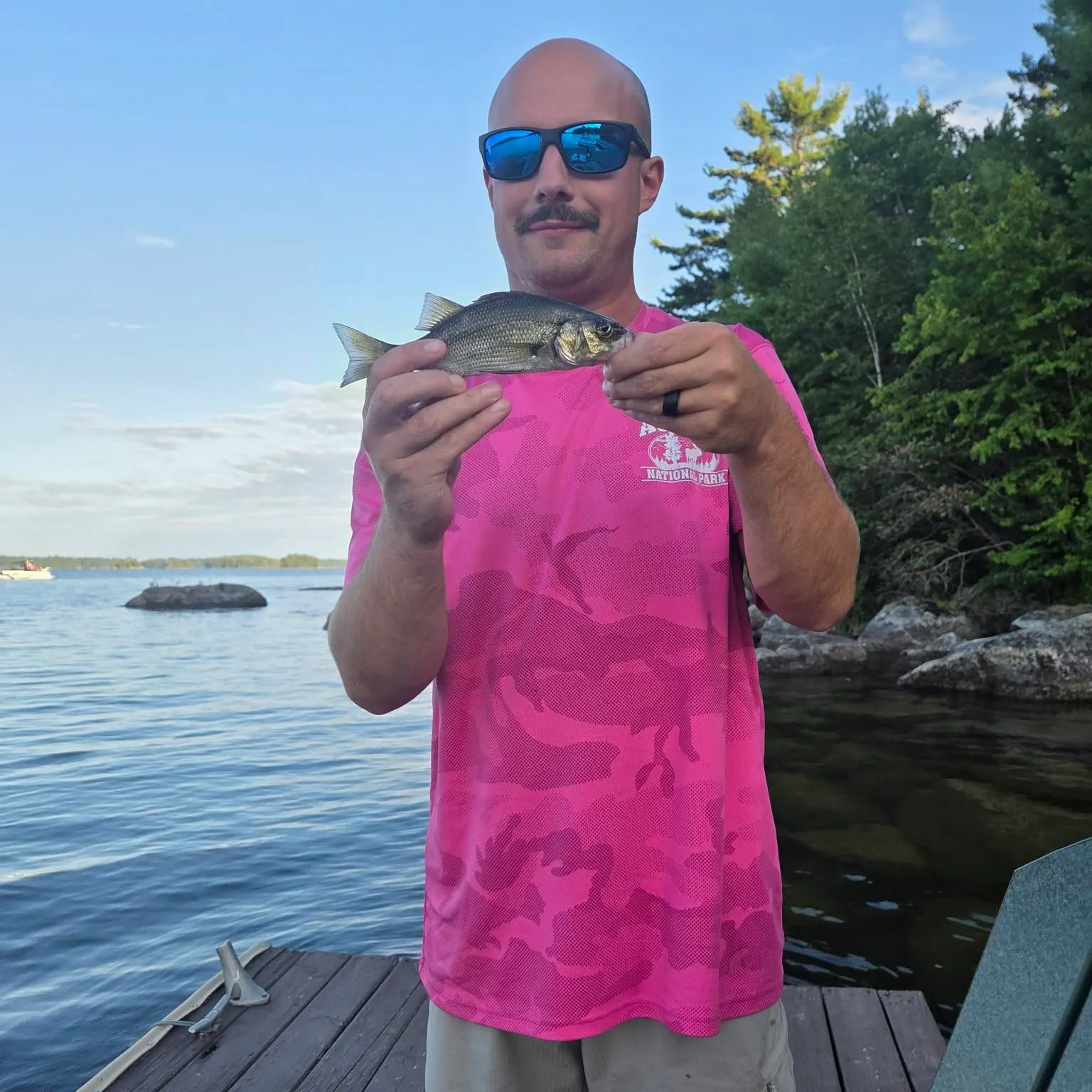 White perch caught on Fishbrain