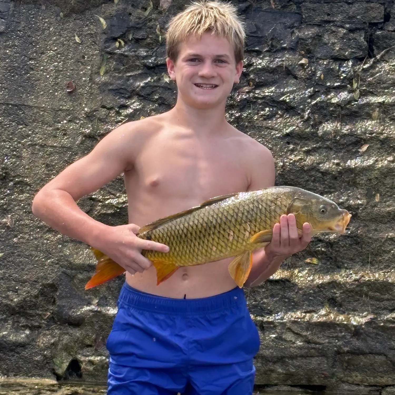 Common carp caught on Fishbrain