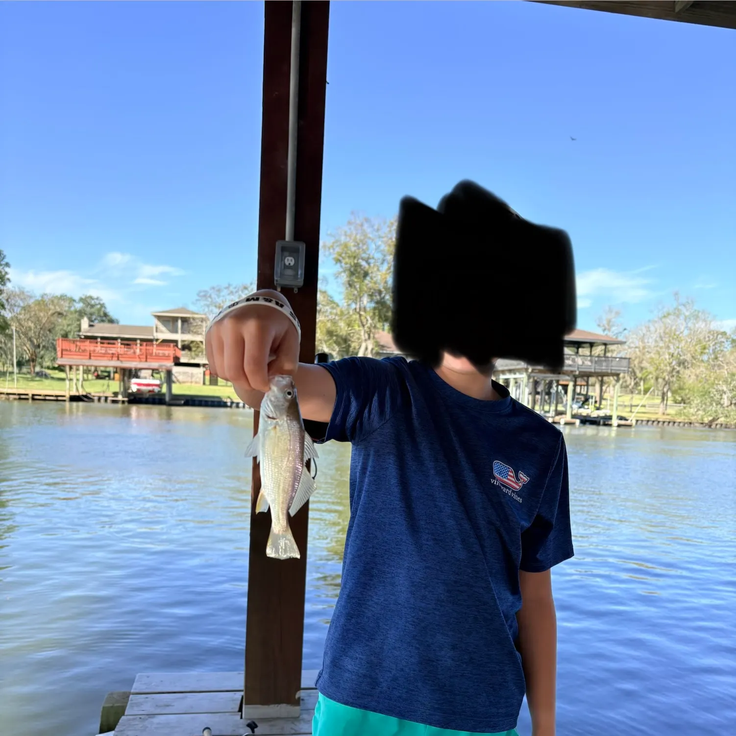 The most recent Yellowfin sillago catches on Fishbrain