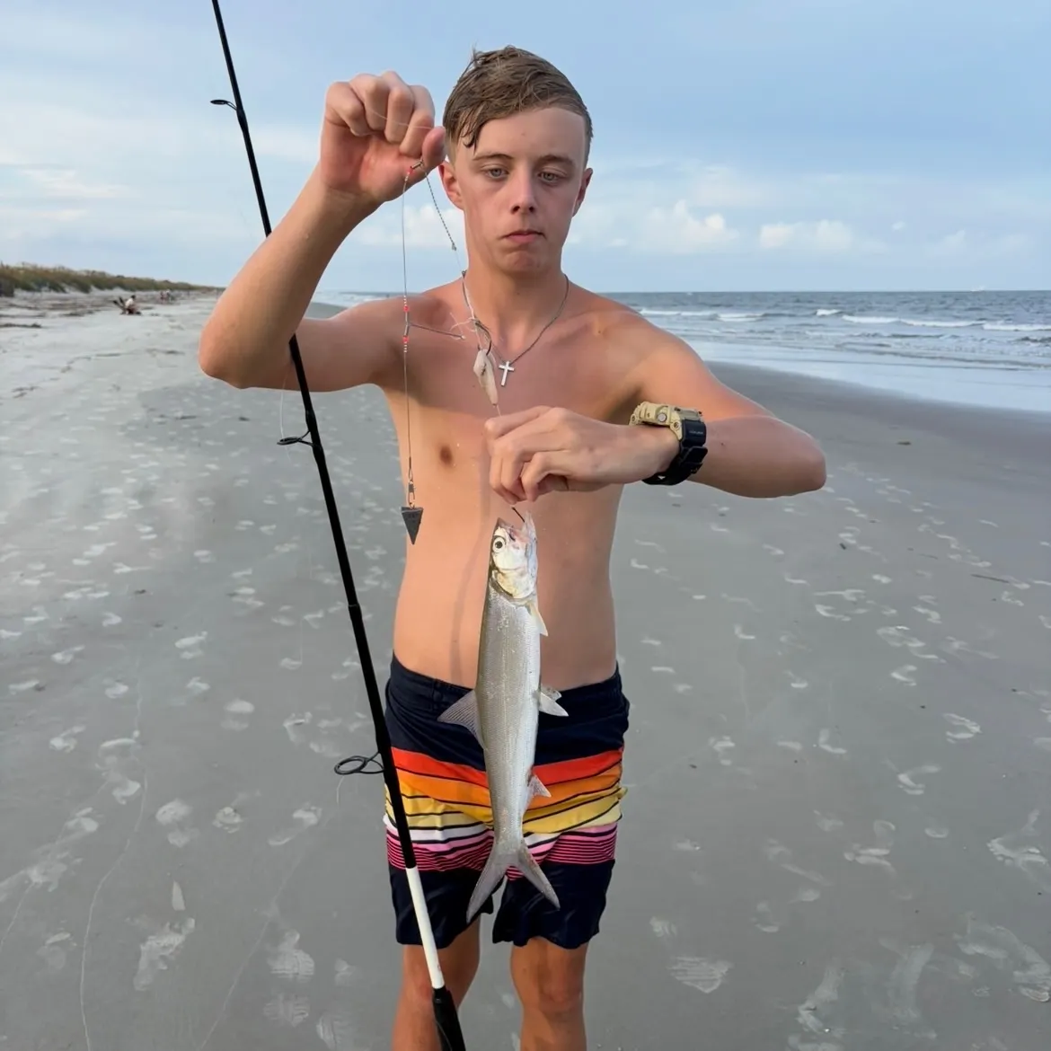 Ladyfish caught on Fishbrain