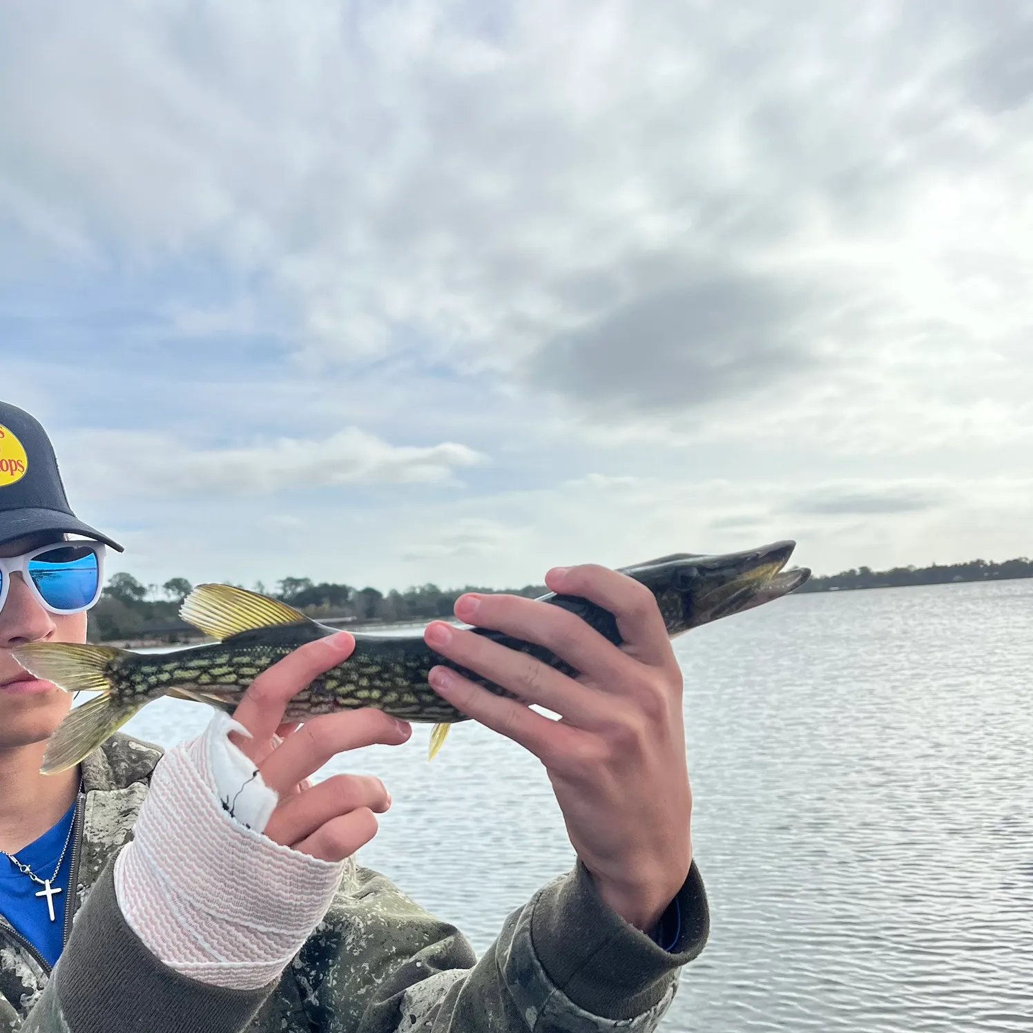 The most recent Chain pickerel catches on Fishbrain